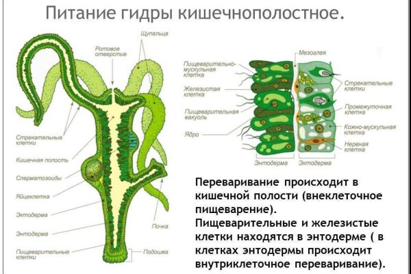 Кракен что это такое маркетплейс