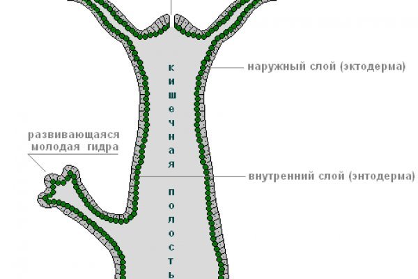 Активная ссылка кракен