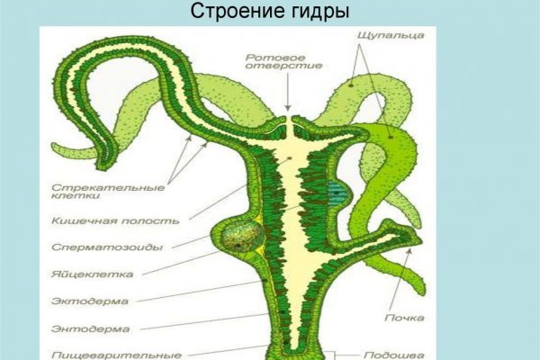 2krn cc кракен