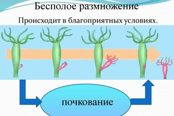 Что продает маркетплейс кракен